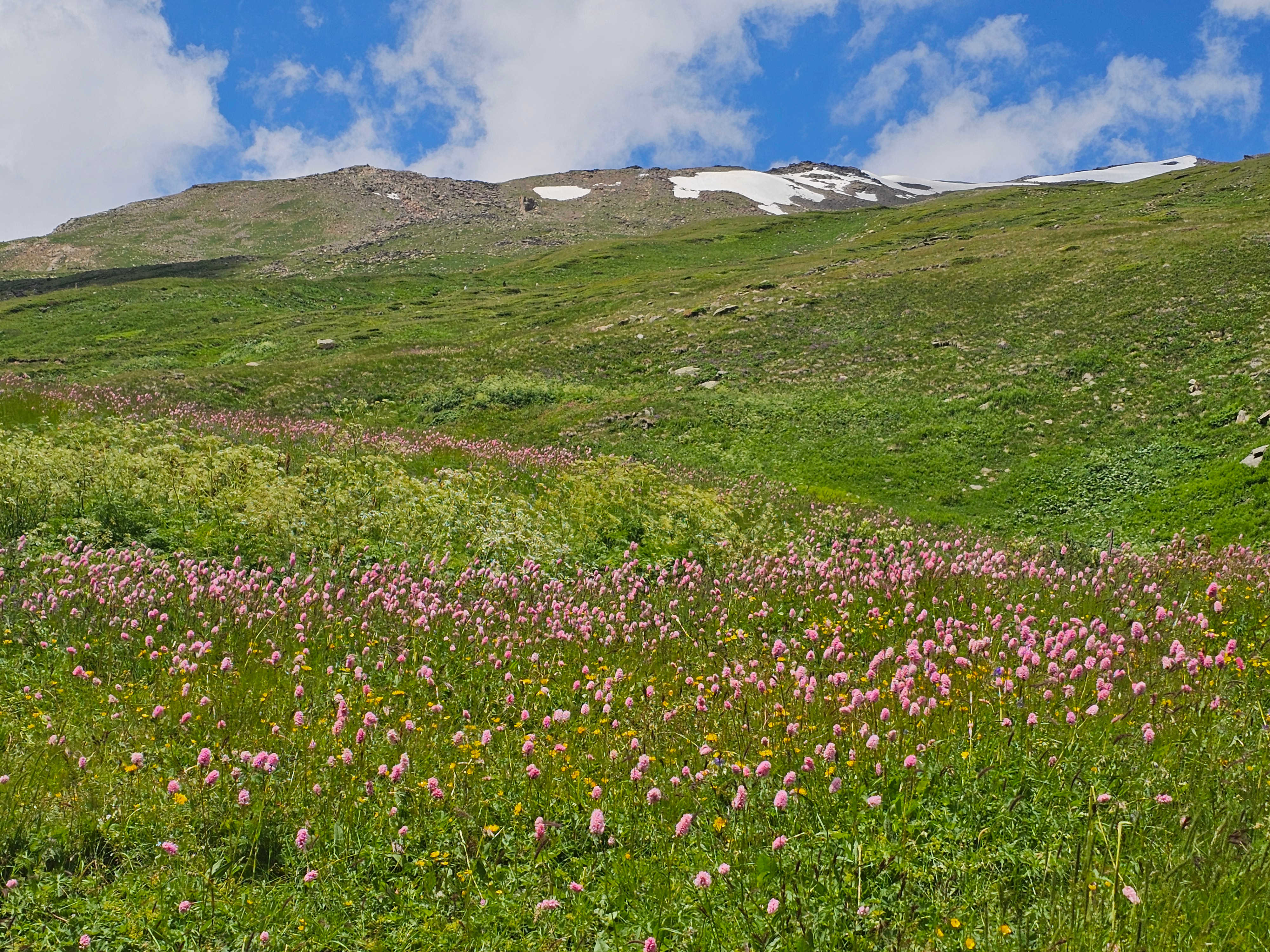 Elbrus